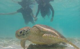 Gili Trawangan Snorkeling Terbaik dan Termurah