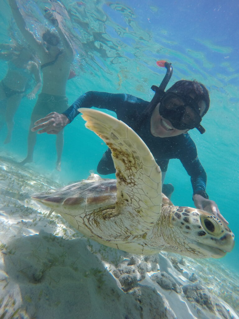 Shark Point Gili Trawangan Snorkeling
