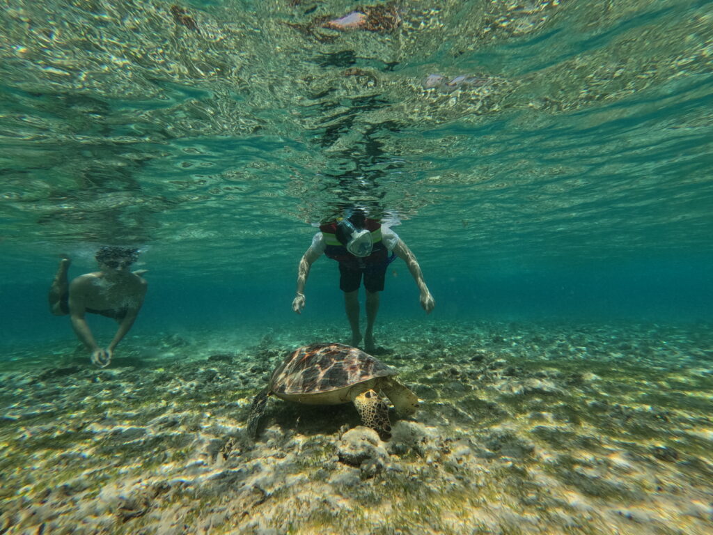 Paket Wisata Ke Lombok 4 Hari 3 Malam Terbaik