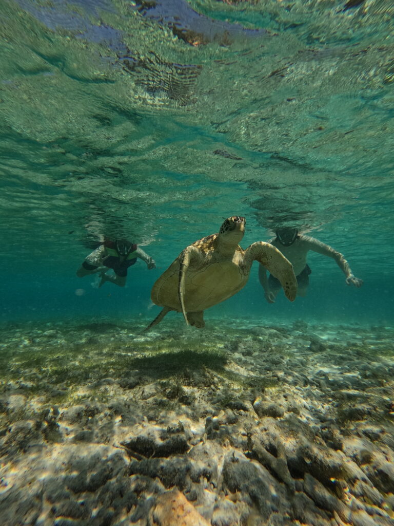 Wisata ke Lombok Terbaik dan Termurah