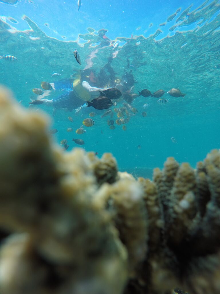 Bali ke Gili Trawangan Terbaik dan Termurah