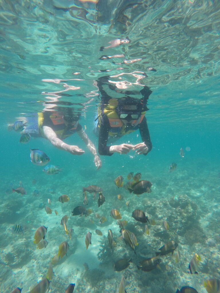 Villa di Gili Trawangan Termurah