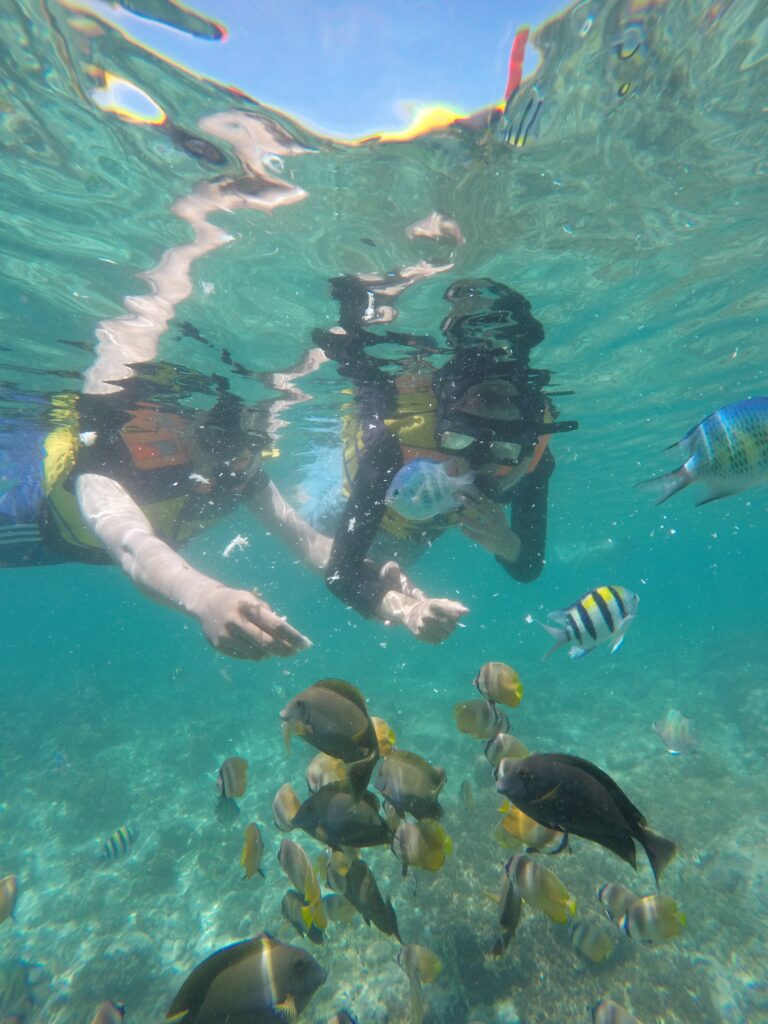 Pelabuhan Gili Trawangan Lombok Terbaik