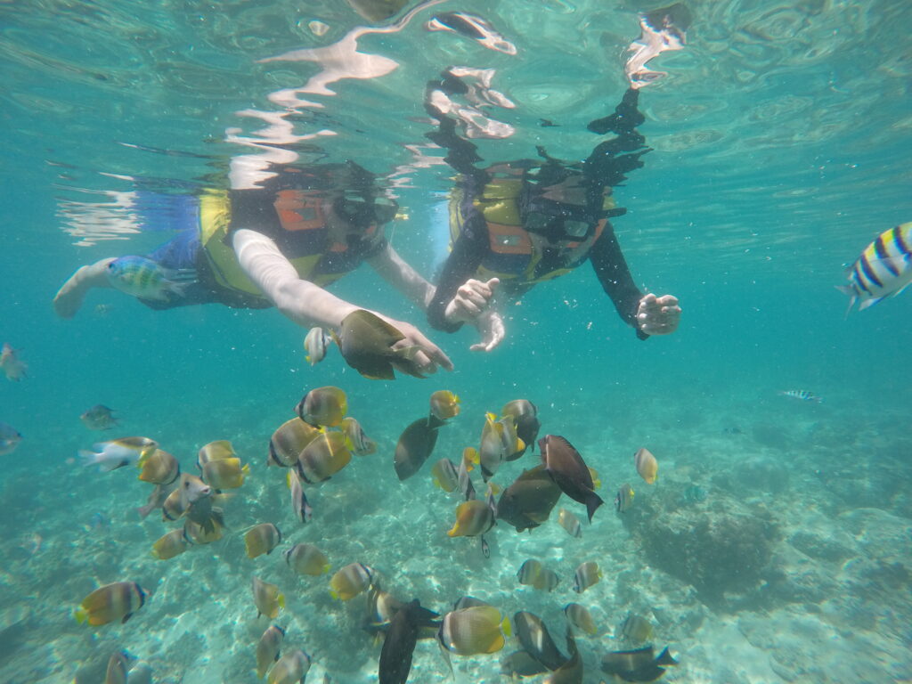 Frii Gili Trawangan Pandawa Terbaik