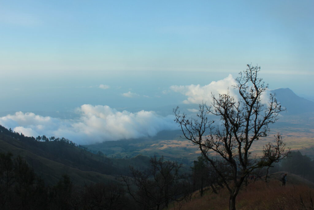 Rinjani Tour Terbaik dan Termurah