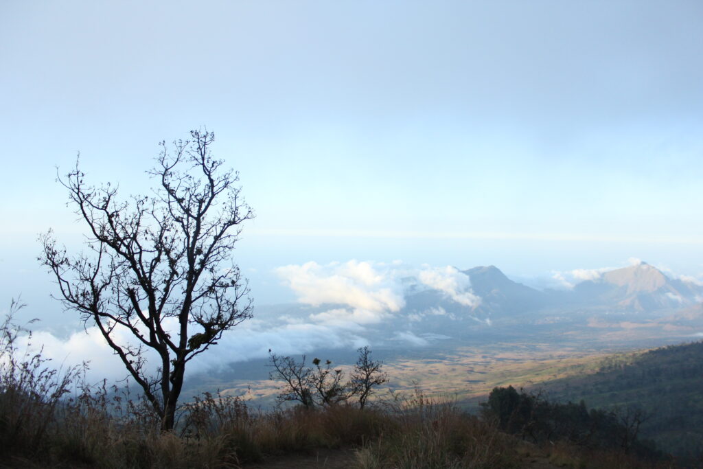 Rinjani Trek Terbaik dan Terfavorit