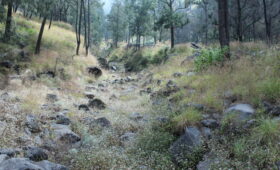 Tour Gunung Rinjani Terbaik