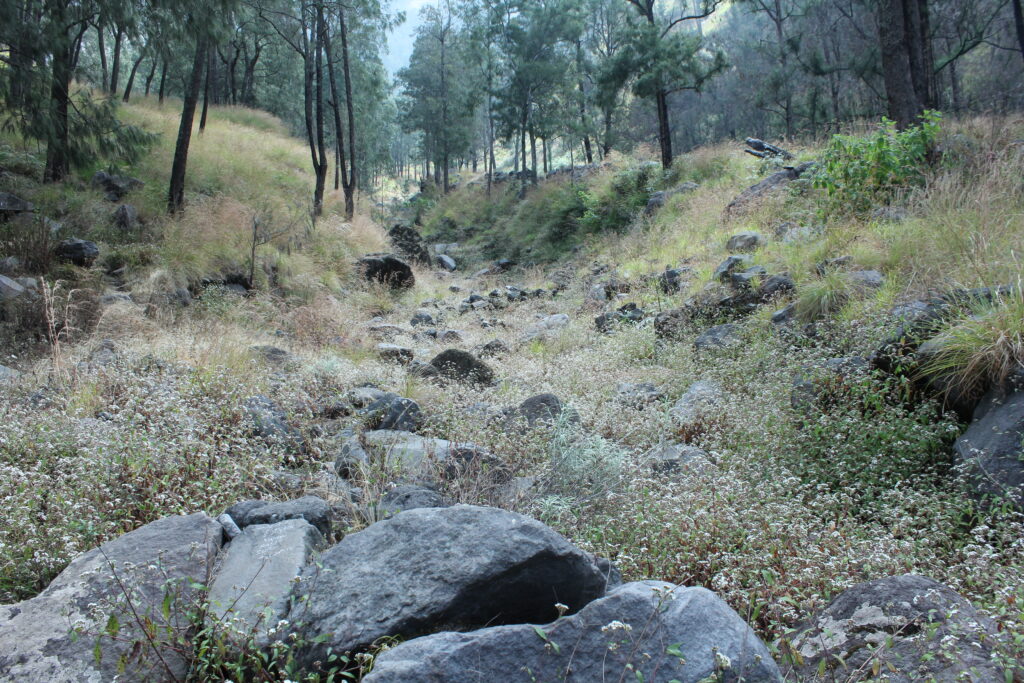 Tour Gunung Rinjani Terbaik