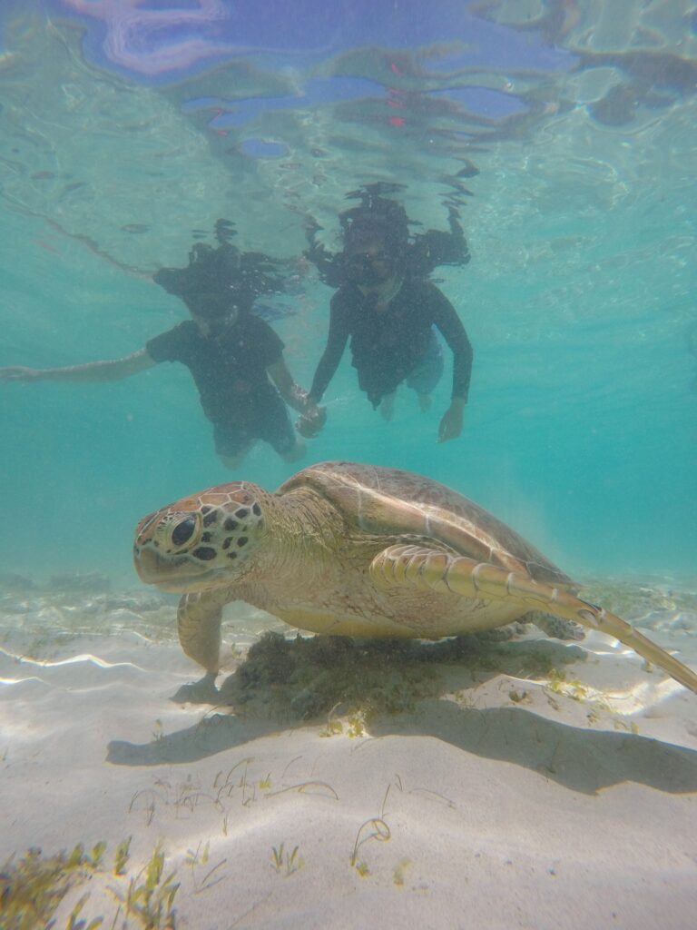 Bali Gili Trawangan Terbaik Terfavorit