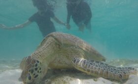 Bali Gili Trawangan Terbaik Terfavorit