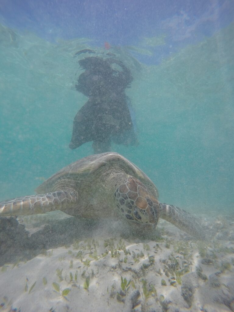 Pinkcoco Gili Trawangan Terbaik Terfavorit