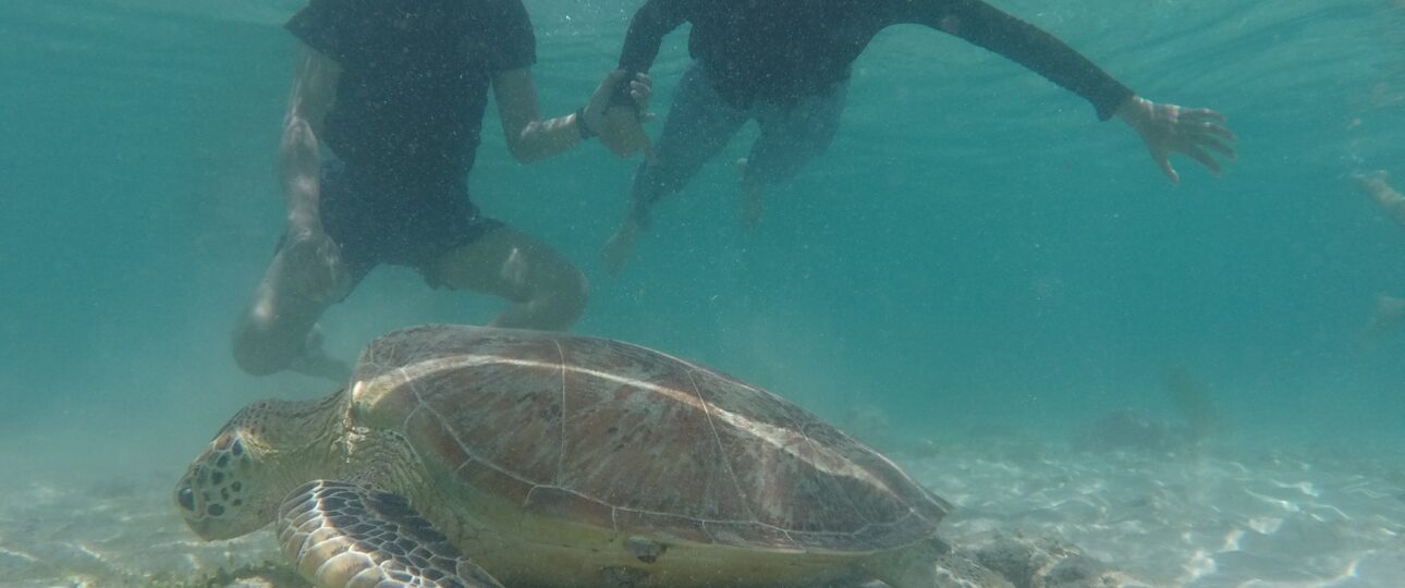 Pinkcoco Gili Trawangan Terbaik Terfavorit