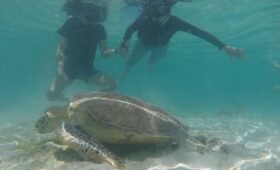 Pinkcoco Gili Trawangan Terbaik Terfavorit