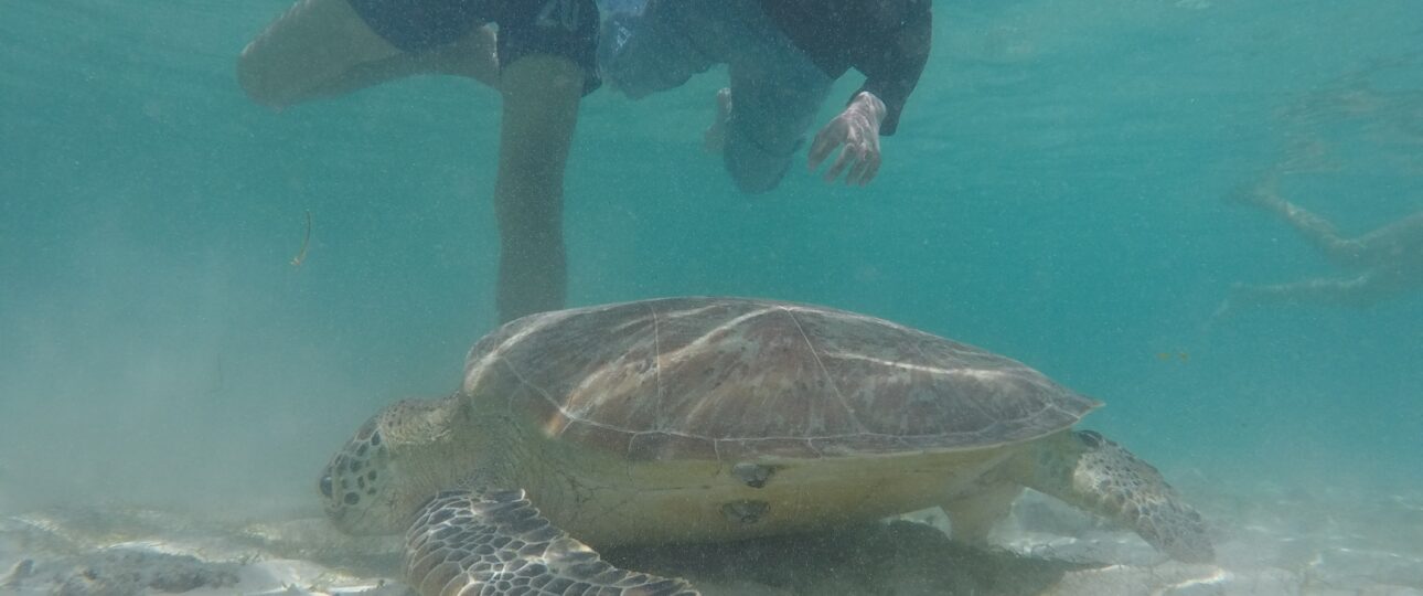 Serangan To Gili Trawangan Terbaik