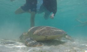 Serangan To Gili Trawangan Terbaik