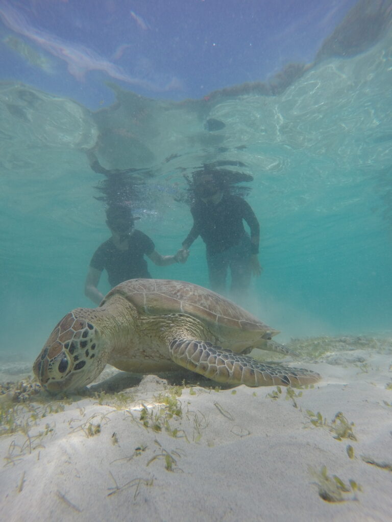 Serangan To Gili Trawangan Terbaik