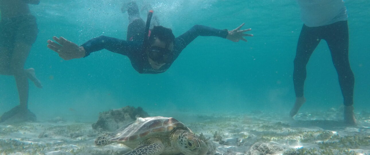 Surfing Kuta Lombok Terbaik