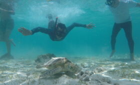 Surfing Kuta Lombok Terbaik