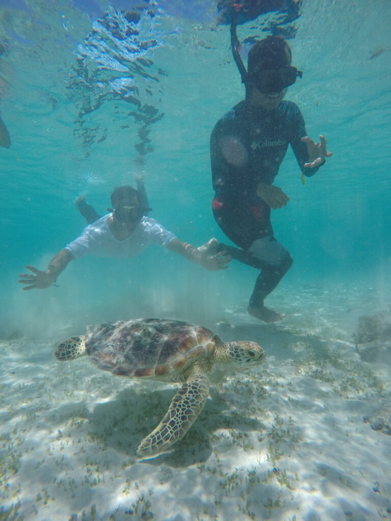 Surfing Kuta Lombok Terbaik