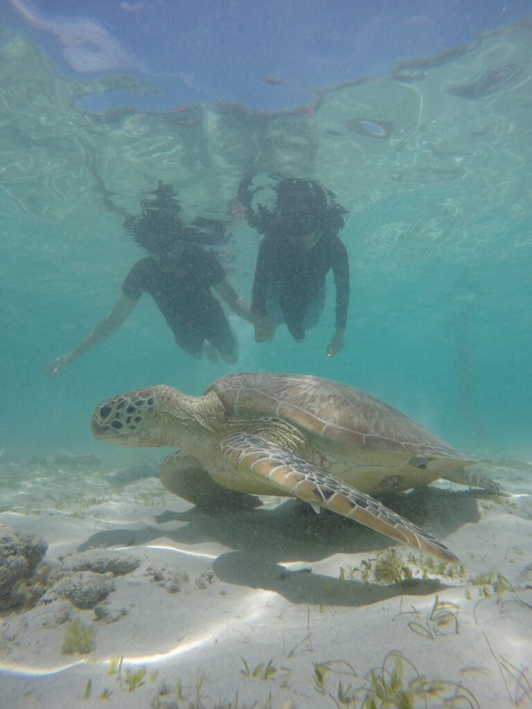 Villa Ombak Gili Trawangan Terbaik