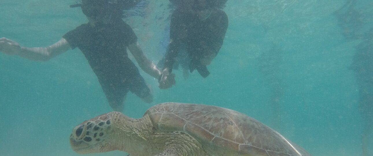 Villa Ombak Gili Trawangan Terbaik