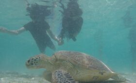 Villa Ombak Gili Trawangan Terbaik