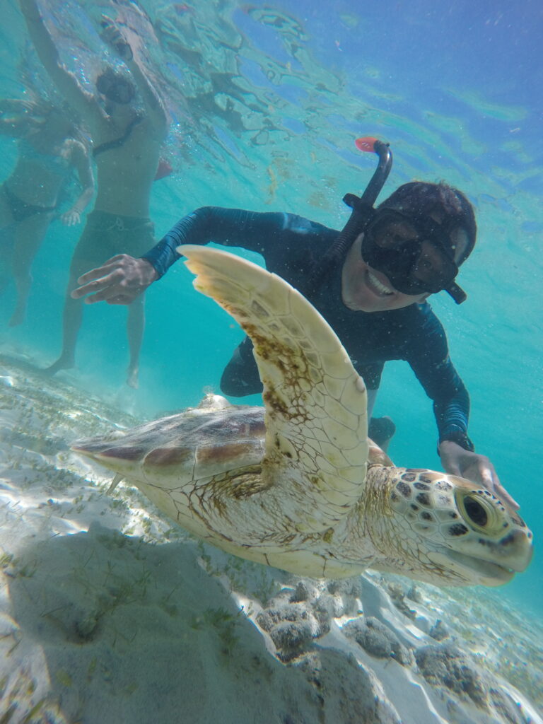 Snorkeling Kuta Lombok Terbaik dan Terfavorit