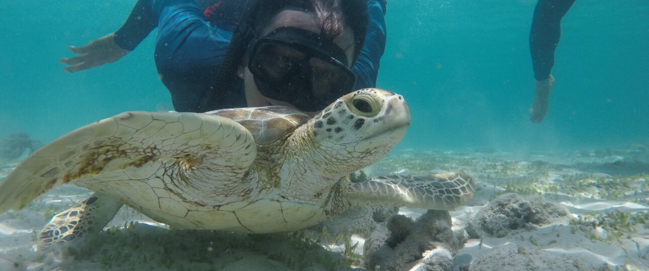 Snorkeling Kuta Lombok Terbaik dan Terfavorit