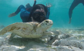 Snorkeling Kuta Lombok Terbaik dan Terfavorit